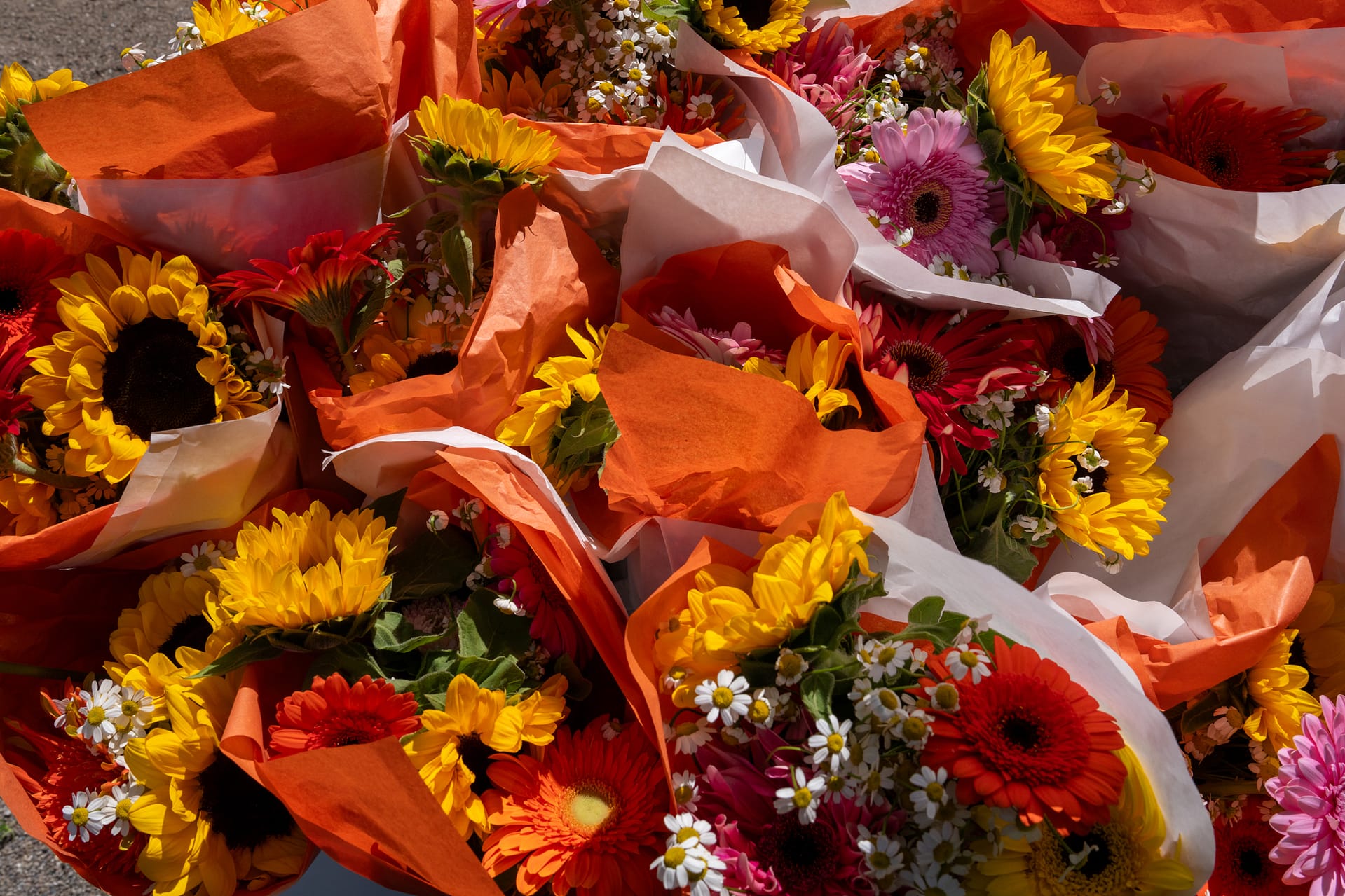 Carl Nielsen og Anne Marie Carl-Nielsens Legat uddeler talentpriser på 150.000 kr. til 20 unge musikere, komponister og billedkunstnere torsdag d. 19. juni på Den Frie Udstillingsbygning.